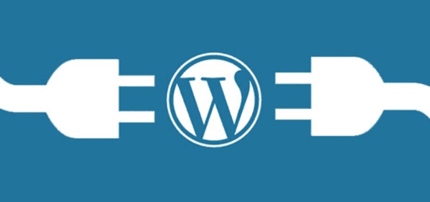 How You can Prevent Your WordPress Website from Crashing