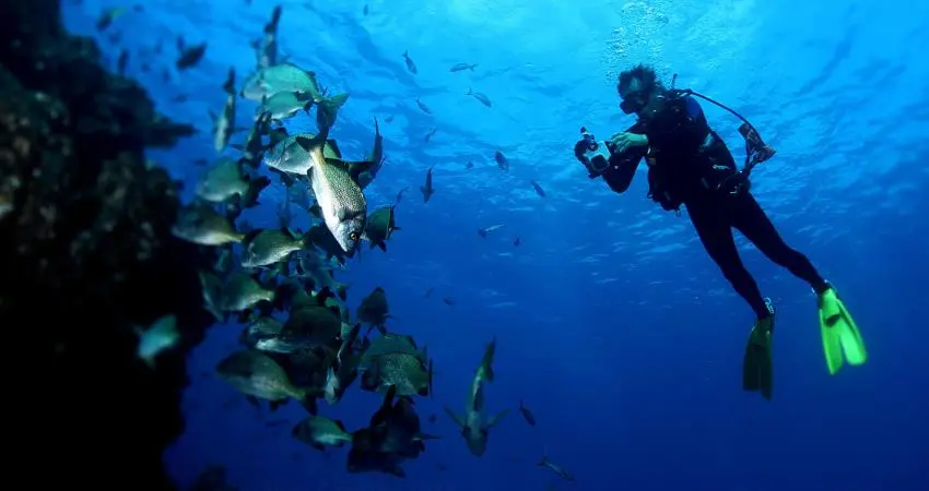Diving into Paradise: Indonesia’s Spectacular Underwater World