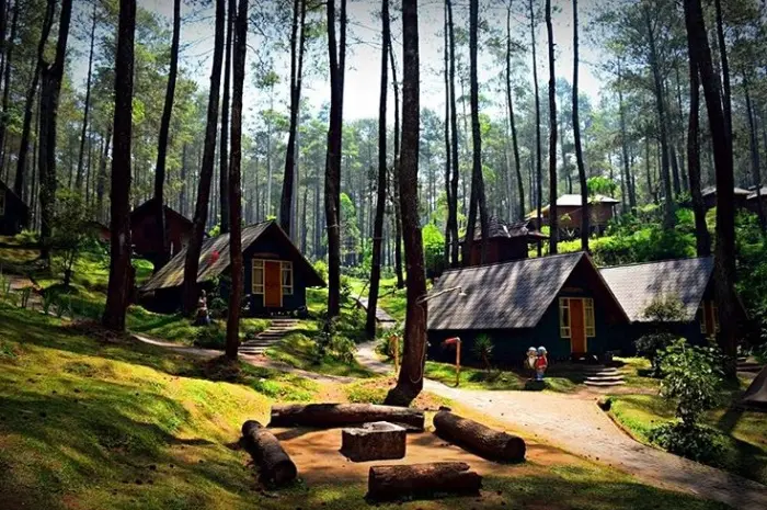 Graphics Cikole, Exotic Natural Tourist Attraction in Bandung