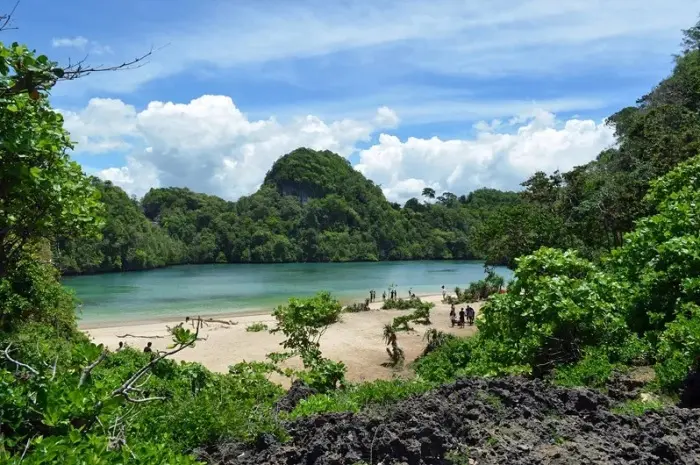 Sempu Island, the Charm of a Beautiful and Exotic Island in Malang